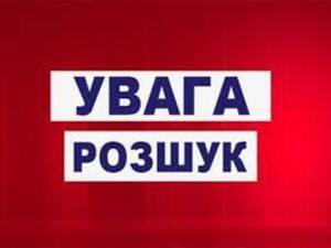 У Львівській області від наїзду потяга загинула жінка, встановлюються рідні