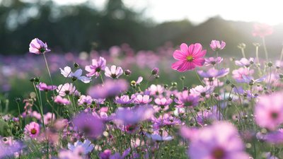 Якою буде погода у Львові та області завтра, 2 липня