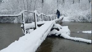 На Львівщині діти ходять до школи щодня наражаючись на небезпеку  (ФОТО)