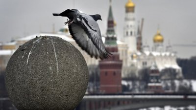 Мир між Росією та Україною може настати протягом року – заява Кремля