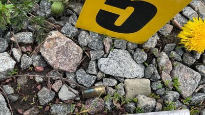 На Львівщині судитимуть молодика, який наївся псилоцилінових грибів і почав стріляти по відвідувачах бази відпочинку (ФОТО)