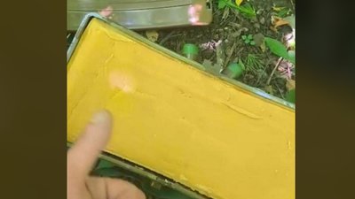 СБУ викрила агенів рф, які готували схрони з комплектуючими до вибухових пристроїв для терактів на заході України