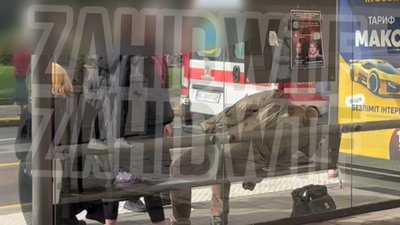 У Львові біля ЛНУ на зупинці громадського транспорту помер чоловік