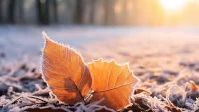 Якою буде погода у Львові та області завтра, 19 листопада