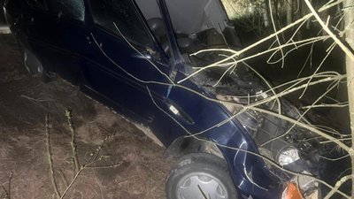 У ДТП на Волині неповнолітній водій протаранив дерево, загинув пасажир