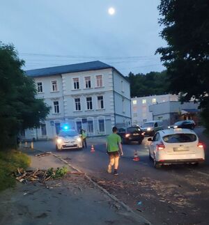 До уваги водіїв: на вулиці Опришківський дерево впало на кабель (фото)