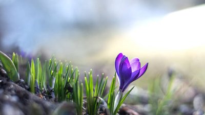 Якою буде погода у Львові та області завтра, 6 квітня