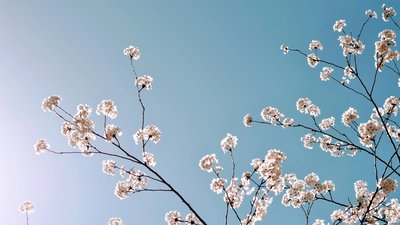 Якою буде погода у Львові та області завтра, 23 березня