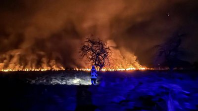 На Львівщині за добу було 38 пожеж сухої трави