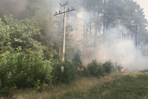 На Харківщині сталася масштабна лісова пожежа (ФОТО)