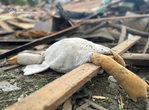 Фото: ДСНС Хмельниччини