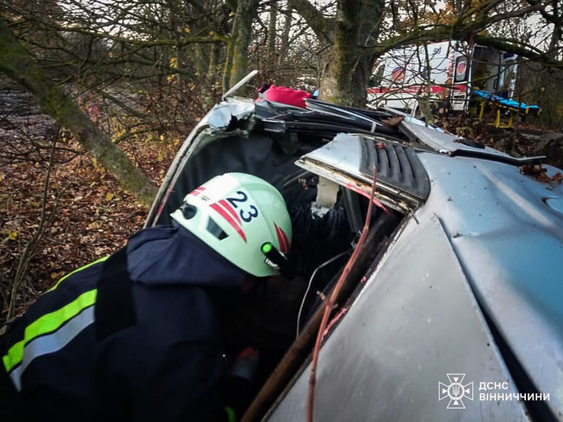 На Вінниччині рятувальники деблокували 16-річного водія, який врізався у дерево