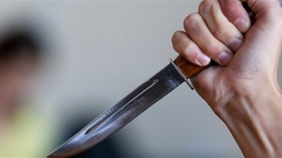 У Житомирі 17-річну дівчину підозрюють у жорстокому вбивстві свого хлопця