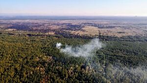 Нацгвардія проводить антидиверсійну операцію через лісові пожежі