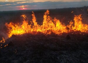 Трагедія: на Житомирщині загинув чоловік, який самостійно намагався загасити сухостій  