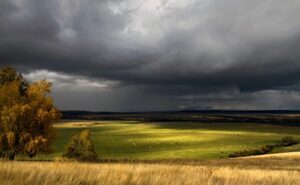 Синоптики повідомили, якою буде погода на вихідних