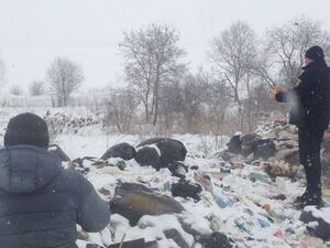 Стрияни з рятувальниками допомагають лелекам (фото)