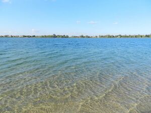 Де можна буде поплавати на Львівщині: визначили водойми для безпечного купання відпочивальників