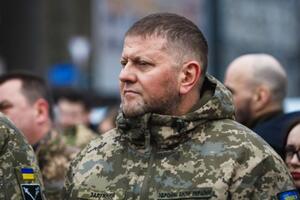 Полковник британської армії назвав причину звільнення Валерія Залужного