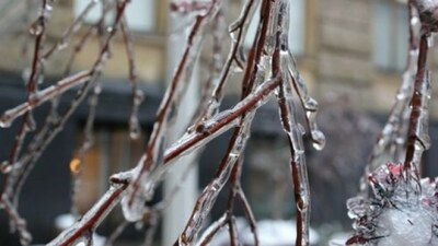 У західних областях 13 грудня прогнозують дощ і ожеледицю