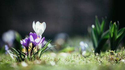 Якою буде погода у Львові та області завтра, 15 квітня