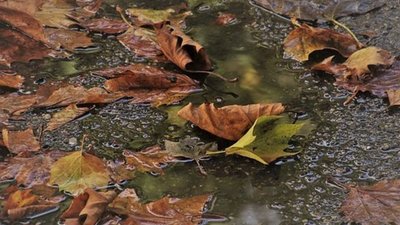 Якою буде погода на Львівщині 1 листопада