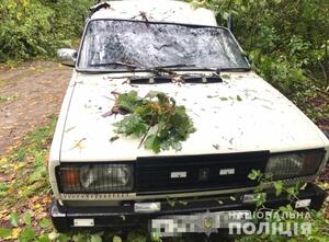 На Вінниччині дерево вбило водія автомобіля 