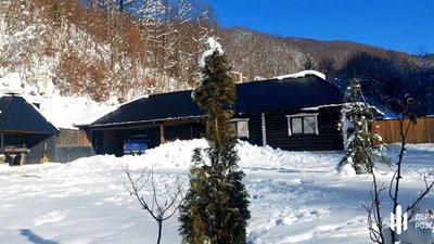 На Закарпатті ДБР продовжує викривати порушення у лісовій сфері та нецільовому використанні державних земель