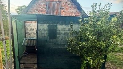 43-річного львів’янина судитимуть за жорстоке поводження з твариною