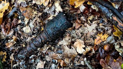 На Львівщині під час збирання грибів виявили боєприпаси