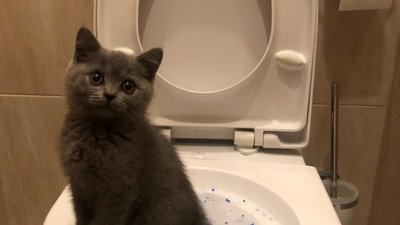 У Тернополі чоловік «спустив» в унітаз своєї квартири 173 тисячі гривень