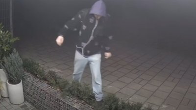 У Львові молодик знищив клумби біля університету Unbroken (ВІДЕО)