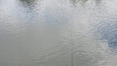 У чотирьох районах Львівщини за порушення правил оштрафували 12 рибалок