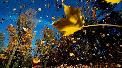 Якою буде погода у Львові та області завтра, 1 листопада