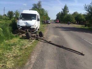 На Львівщині внаслідок ДТП загинув кінь (фото)