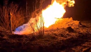 У Львові палії сухої трави пошкодили газопровід (відео)