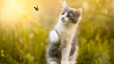 Якою буде погода у Львові та області завтра, 22 квітня