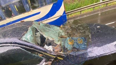 У Винниках негода повалила дерево на машину