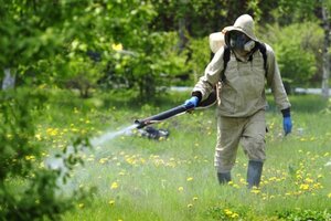 Графік проведення профілактичної дезінфекції львівських парків