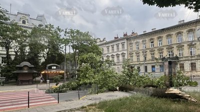 Увага! У Львові вирує негода (ФОТО, ВІДЕО)
