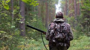 На Буковині затримали браконьєрів, що розстріляли чуже авто