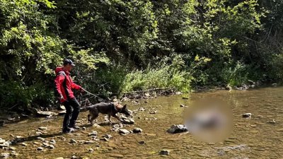 На Львівщині службовий собака розшукав тіло зниклого чоловіка