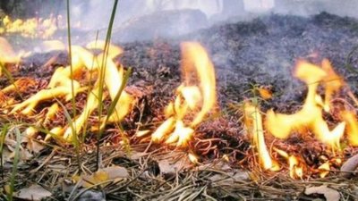 Увага! На Львівщині синоптики попередили про високу пожежну небезпеку