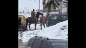 Буковинські поліцейські відреагували на напад з сокирою на працівника ТЦК та СП (ВІДЕО)