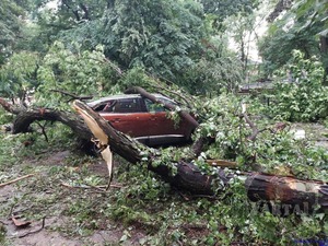 У Львові негодою пошкоджено майже два десятки автівок: наслідки (відео, фото)