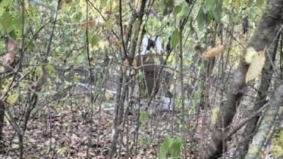 До Молдови залетів і вибухнув дрон
