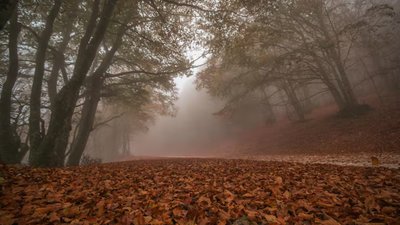 Якою буде погода у Львові та області завтра, 5 грудня