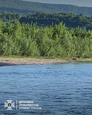 У Тисі на Закарпатті румунські прикордонники виявили тіло чоловіка (ФОТО)