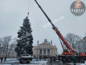 У Львові встановлюють головну ялинку (ВІДЕО, ФОТОРЕПОРТАЖ)