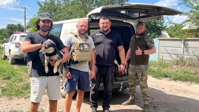 До Львова евакуювали собак та котів з громад Харківщини